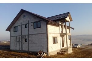 LUCRARE CERBU 2 (1)